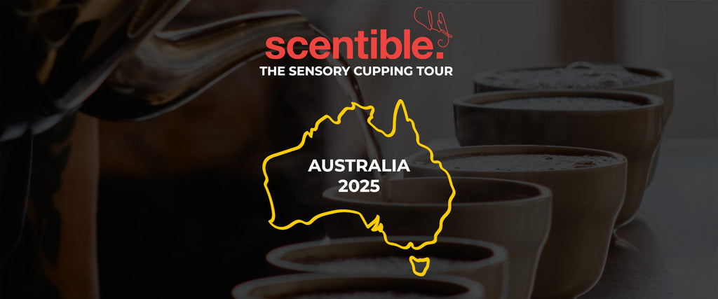 Australian Sensory Cupping Tour