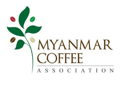 Myanmar-Coffee-Association